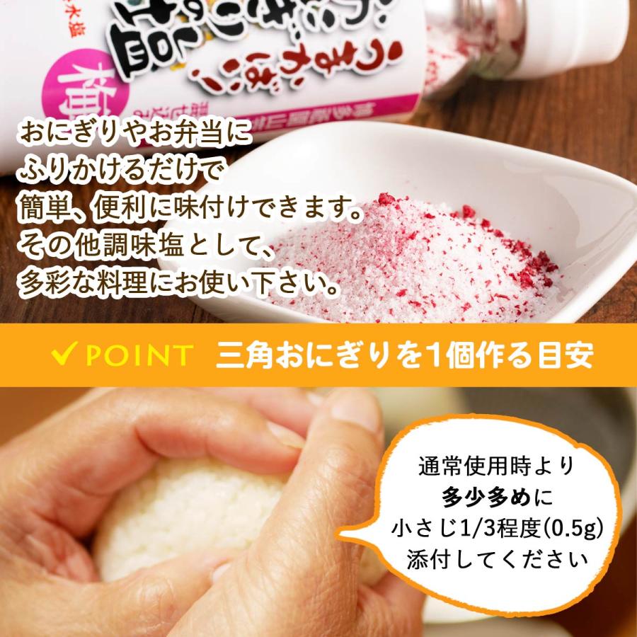 塩 3種セット [大盛食品] 祇園 山笠 おにぎりの塩 セット 100g×3種