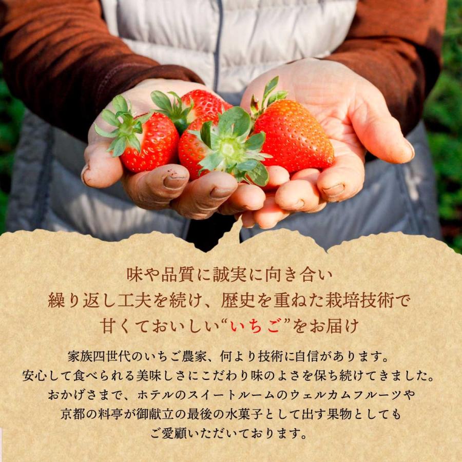 えいたん 奈良県産 冷凍イチゴ 三種set いちご3種セット（古都華・淡雪・雪ぼたん または パール