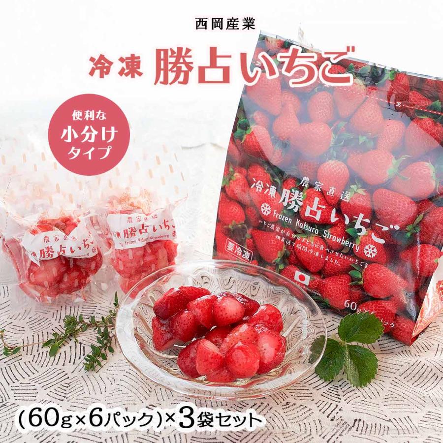 送料無料 [西岡産業] 農家直送 冷凍 勝占いちご (便利な小分けタイプ