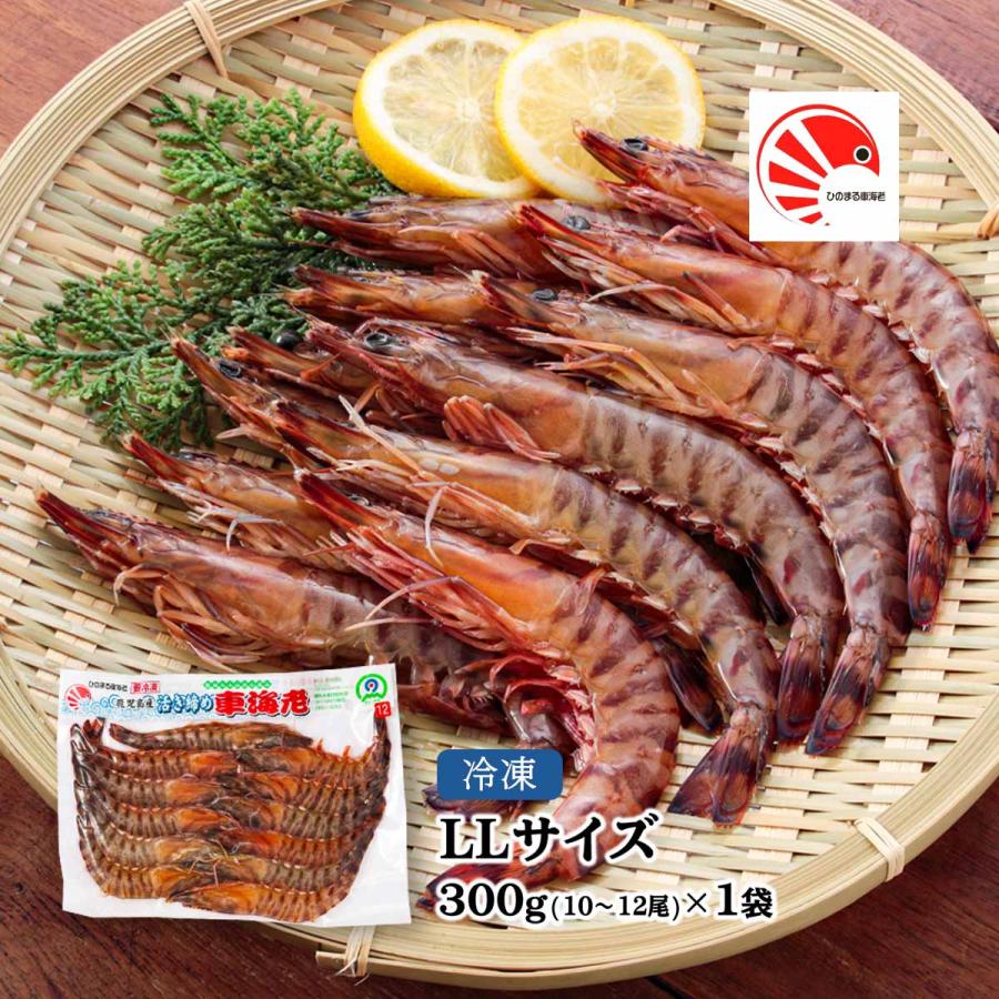ひのまる車海老 海老 活き〆冷凍車海老 Llサイズ 1p 10 12尾 300g 海老 車海老 活き〆 真空 鹿児島産 鮮度 冷凍 塩焼き 天ぷら フライ にじデパートyahoo 店 通販 Yahoo ショッピング