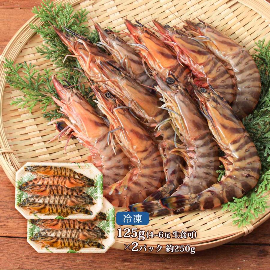 隼人車えび] 海鮮 活き〆冷凍車海老約125g(4~6尾)×2パック(生食可) 約