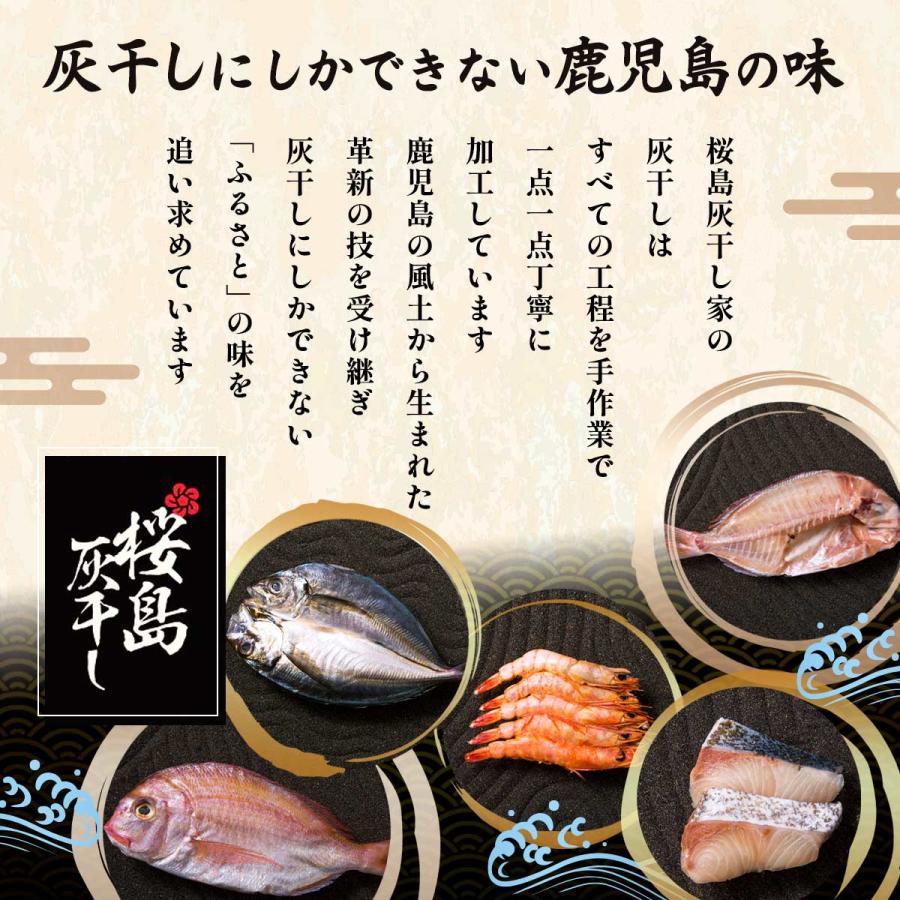 送料無料 [清泉社] 魚介類加工品 するめいか 1杯×3パックセット/干物