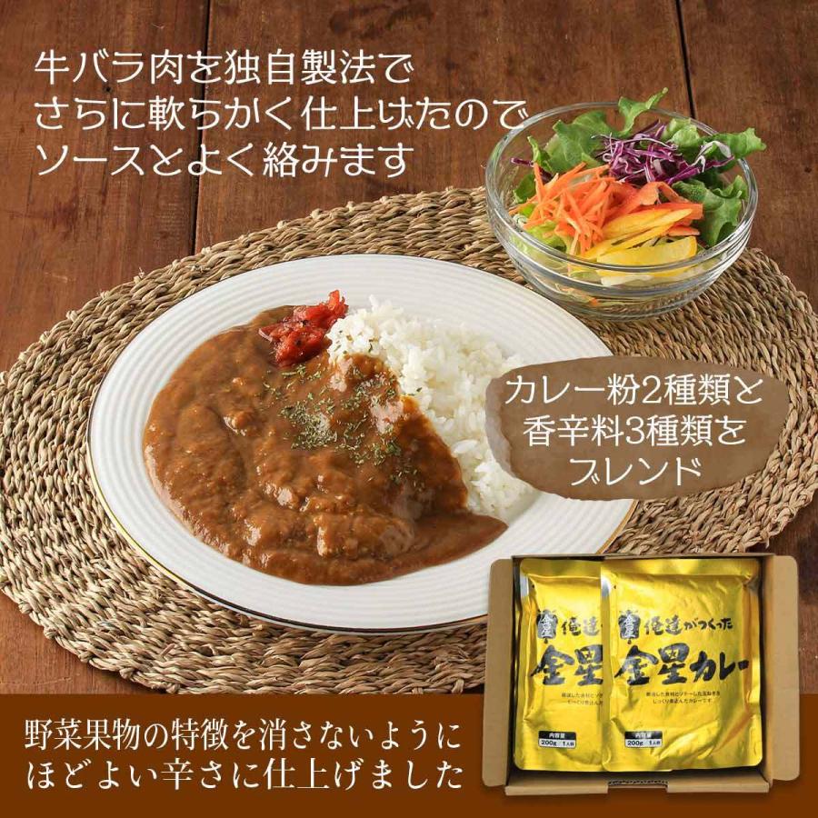 南給 カレー 俺達がつくった金星カレー 0g 10p レトルトカレー カレー 金星 簡単調理 カレーライス レトルト食品 非常食 パウチ にじデパートyahoo 店 通販 Yahoo ショッピング