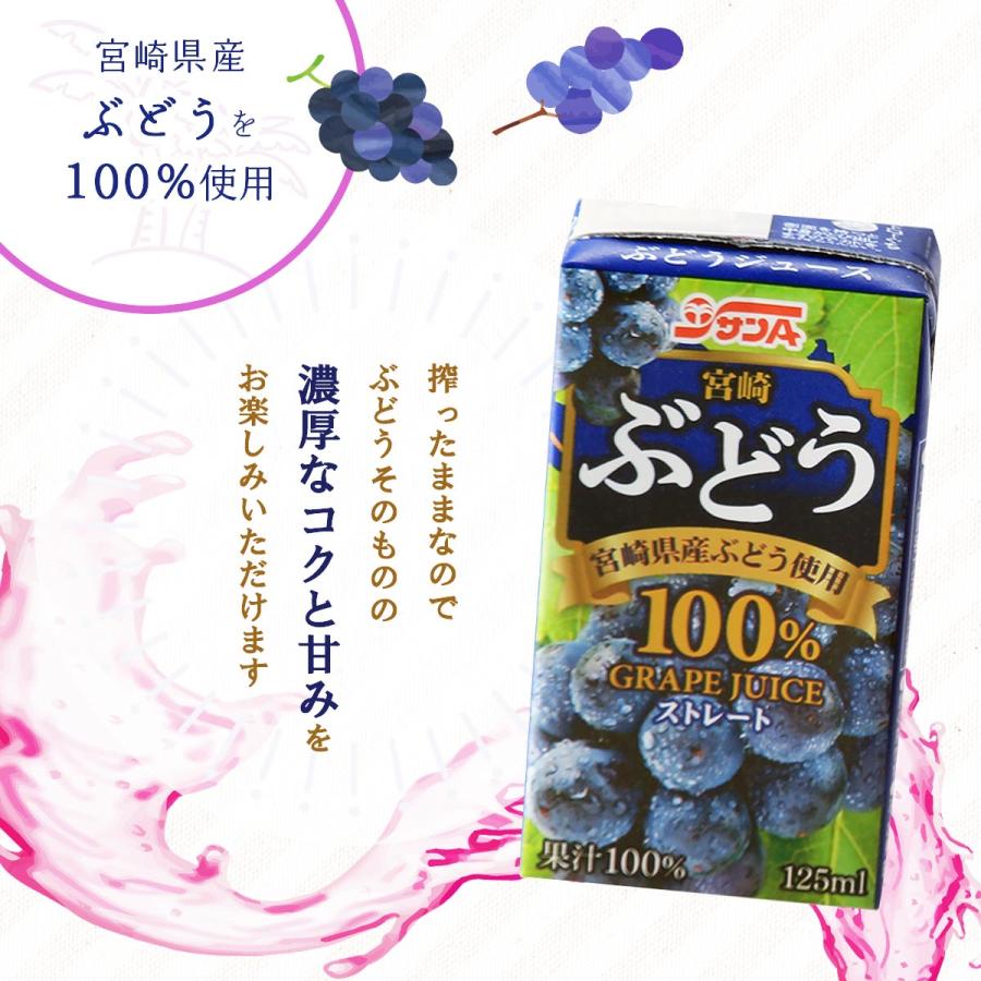 送料無料 [宮崎県農協果汁] 飲料 宮崎県産ぶどうジュース 100