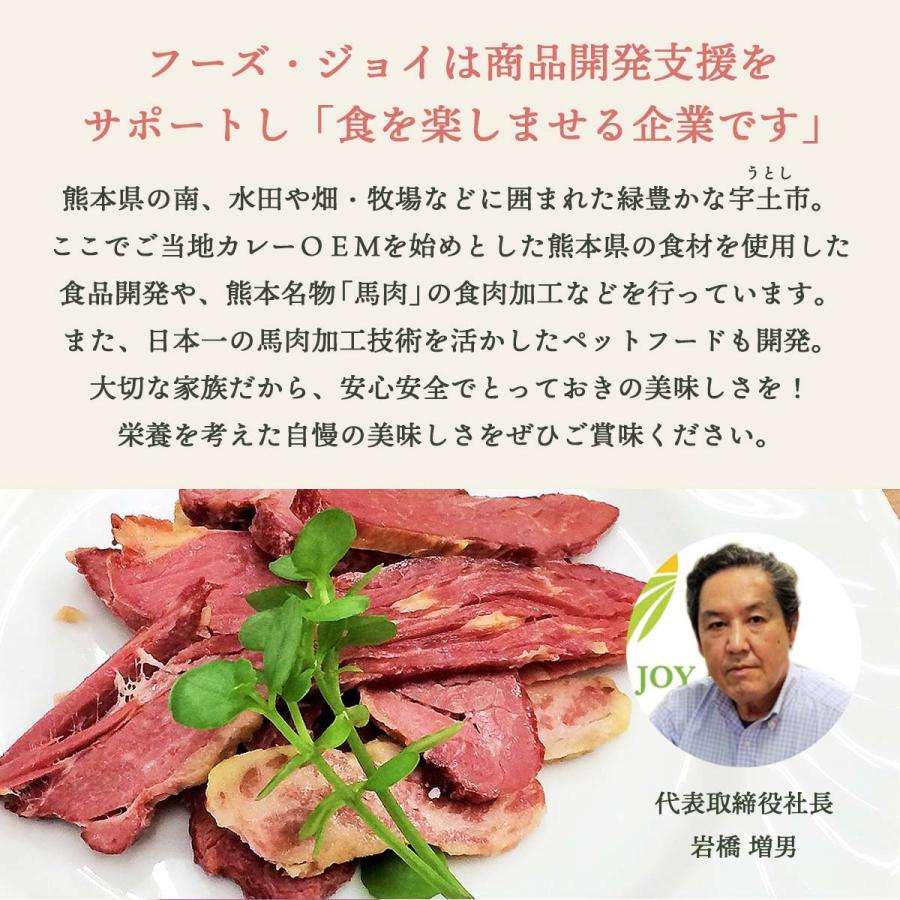 送料無料 [フーズ・ジョイ] おつまみ ジャーキー 馬肉ジャーキー 40g×5袋セット /馬肉/おつまみ/熊本/ジャーキー/美味しい｜nipponmarche｜04