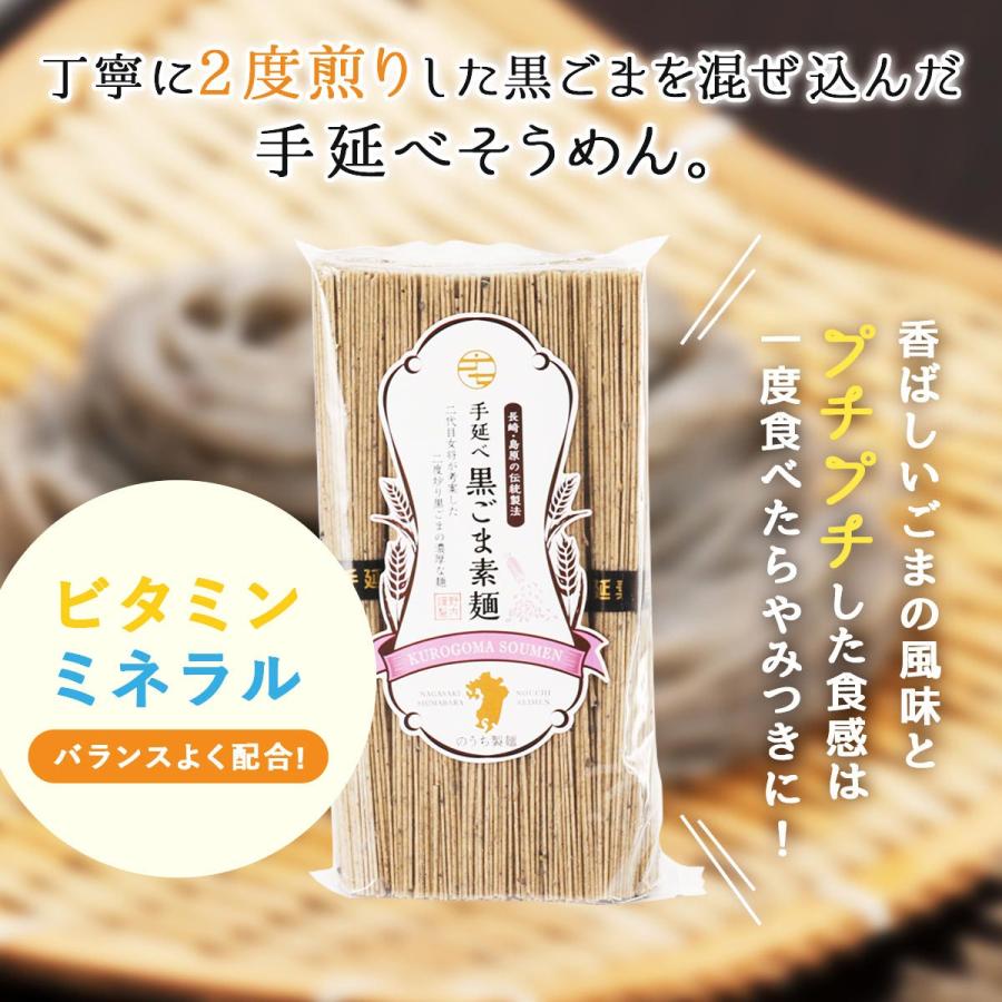 そうめん 送料無料 2袋セット [のうち製麺] 手延べ黒ごま素麺 450g(45g