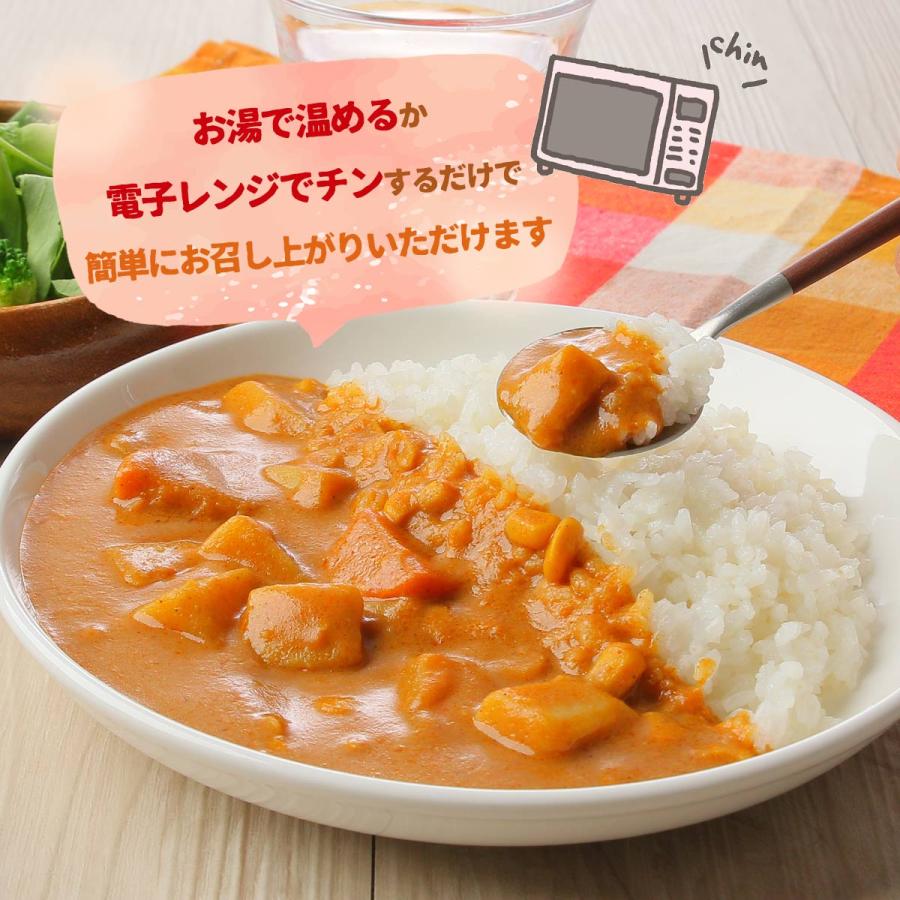 送料無料 [ばあちゃん本舗] レトルトカレー 野菜のヘルシーカレー 200g×3袋セット /ベジタリアン やさい 菜食生活 野菜 ベジタブル｜nipponmarche｜03