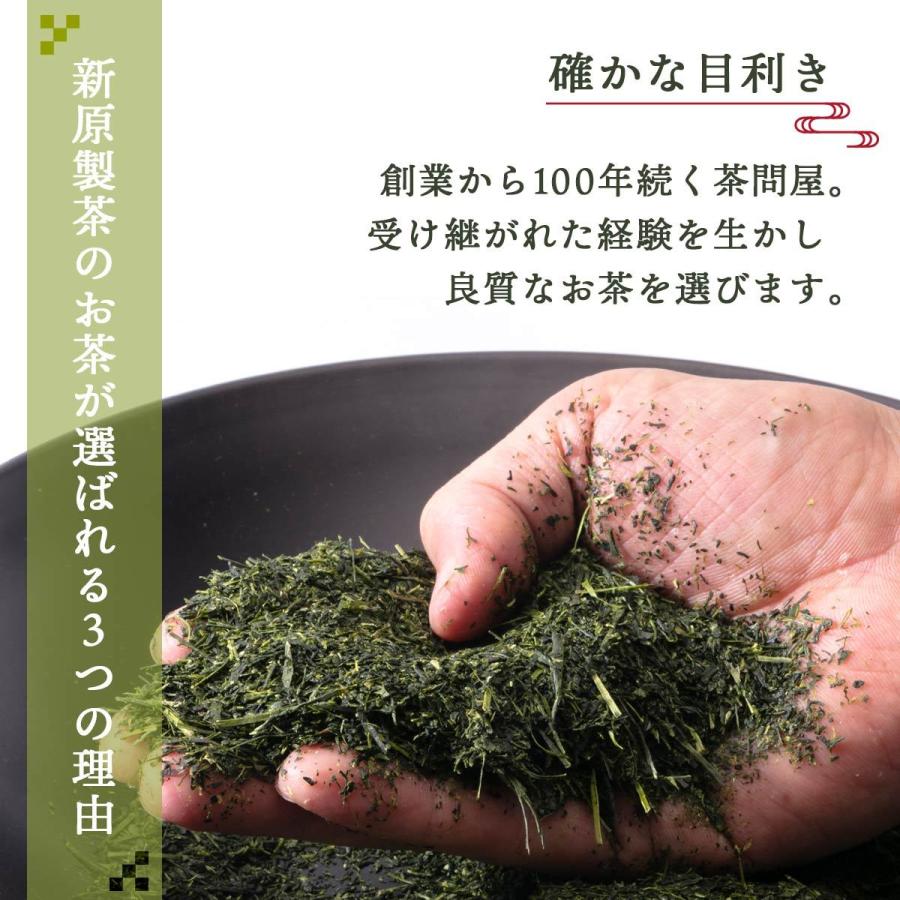 新茶 2024年 鹿児島 茶葉 知覧深むし茶 80g×3 新原製茶 鹿児島県 緑茶 名産品 お取り寄せ グルメ ギフト 国産 茶葉 リーフ 日本茶 初摘み 送料無料｜nipponmarche｜04