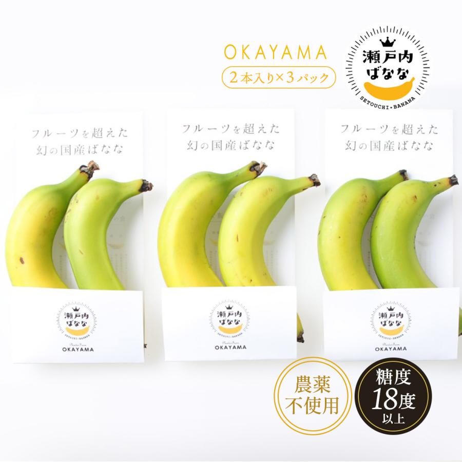 岡山県産バナナ [プランター] 幻の国産バナナ 瀬戸内ばなな 2本入り×3