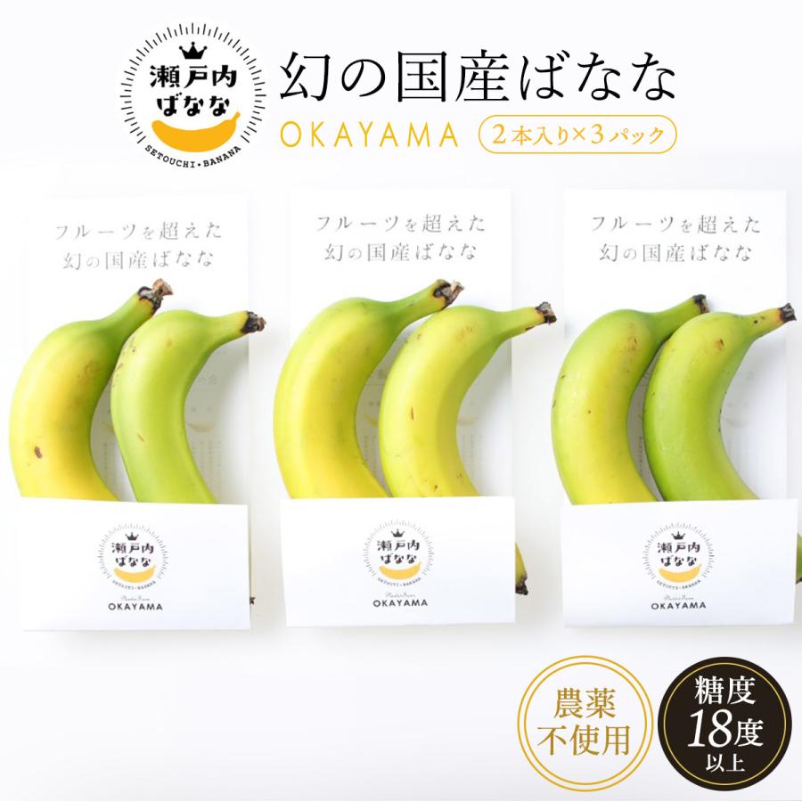 岡山県産バナナ [プランター] 幻の国産バナナ 瀬戸内ばなな 2本入り×3