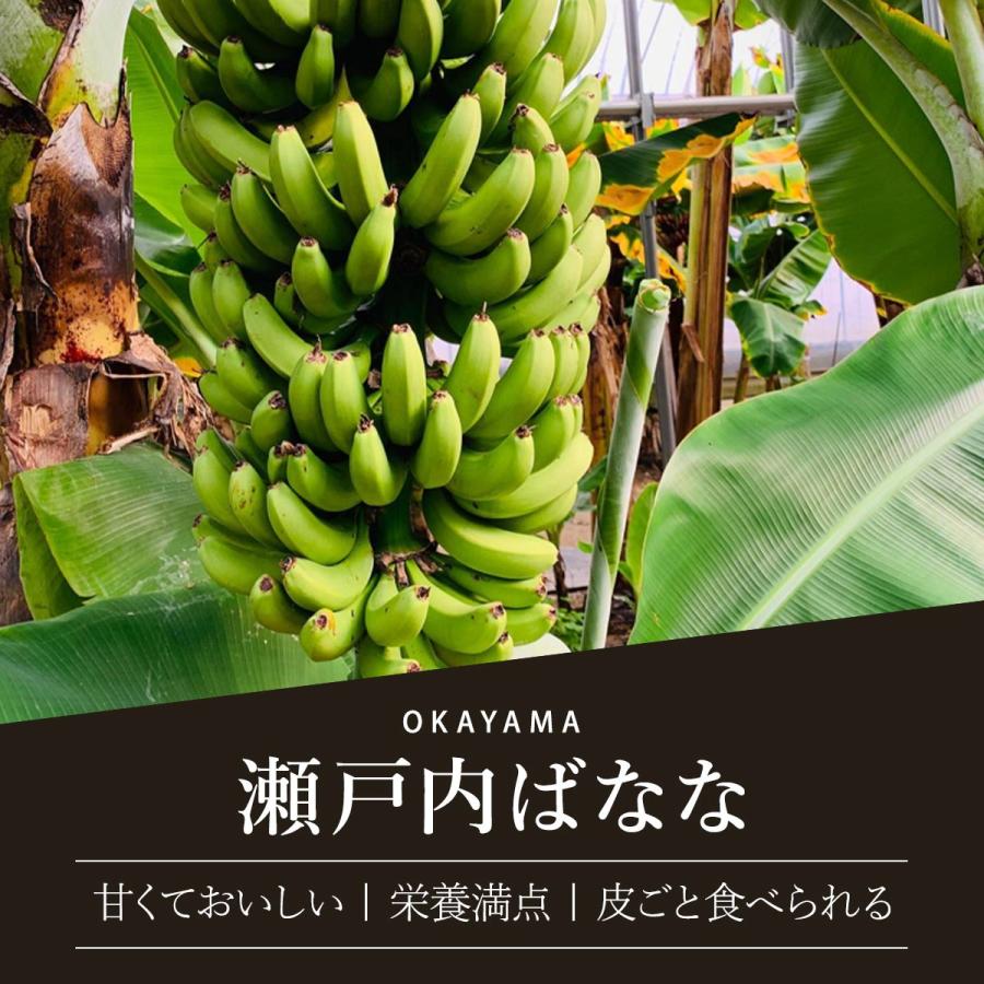 岡山県産バナナ [プランター] 幻の国産バナナ 瀬戸内ばなな 2本入り×3