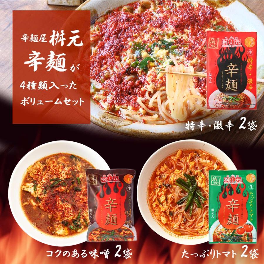 辛麺ギフト [辛麺屋 桝元] 辛麺 4種セット 辛麺6袋、激辛特辛2袋、コク