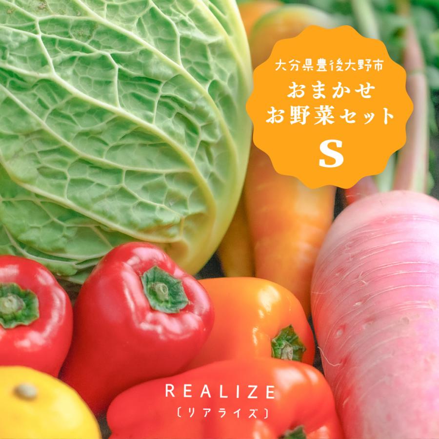野菜セット REALIZE 送料込 1980円 大分県豊後大野 おまかせお野菜セットS 旬のお野菜 5~6種 /産地直送 お取り寄せ野菜 野菜の詰合せ の商品画像