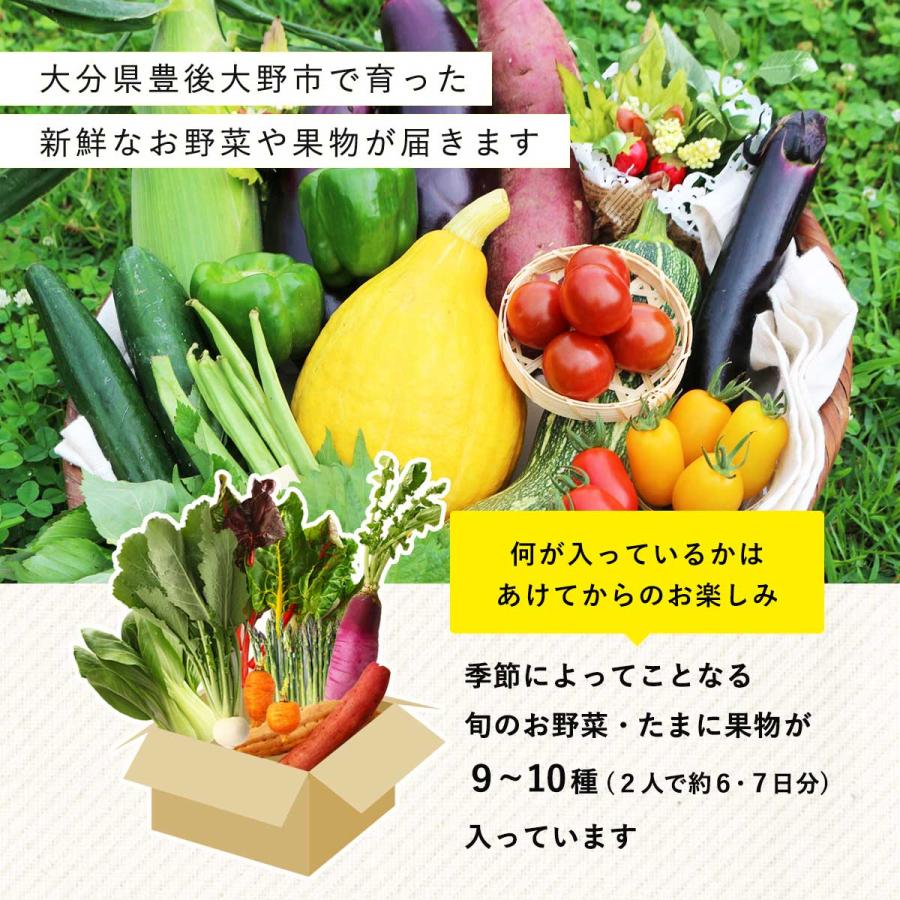 野菜セット REALIZE 送料込 3980円 大分県豊後大野 おまかせお 野菜セット REALIZE 送料込 3980円 大分県豊後大野 おまかせお