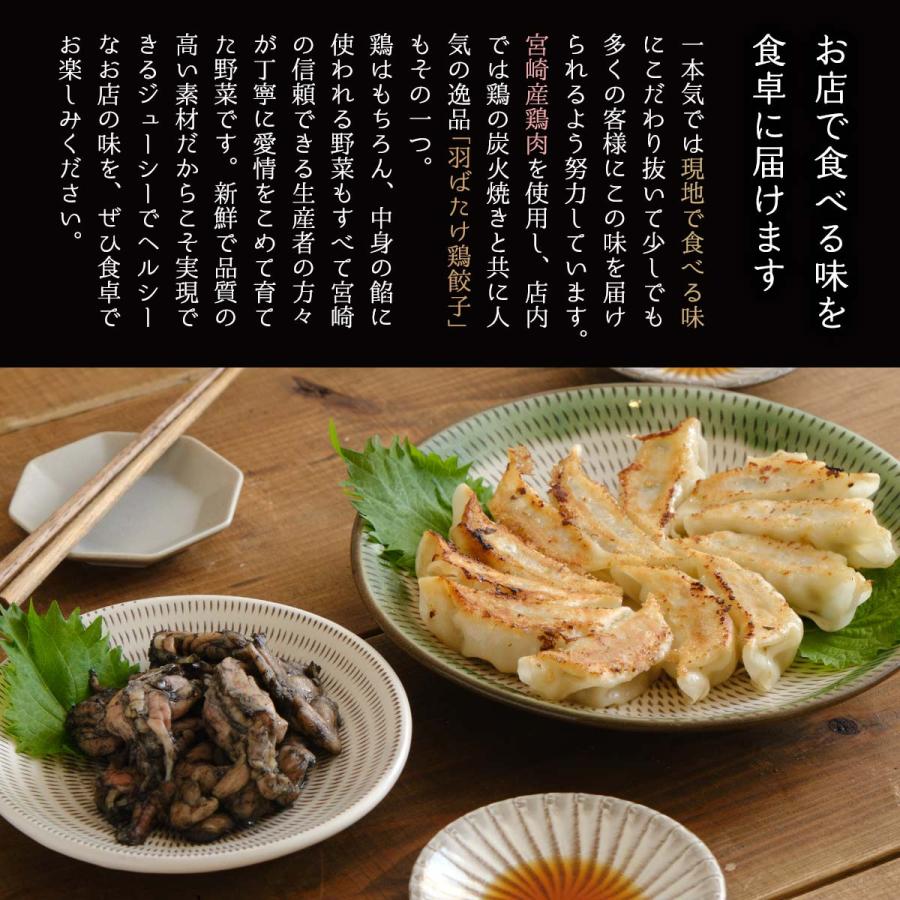 惣菜 鶏専家 一本気 餃子セット 羽ばたけ鶏餃子 240g(12個)×4パック /羽根ぎょうざ 羽付き餃子 餃子 ぎょうざ ギョウザ : にじ ...