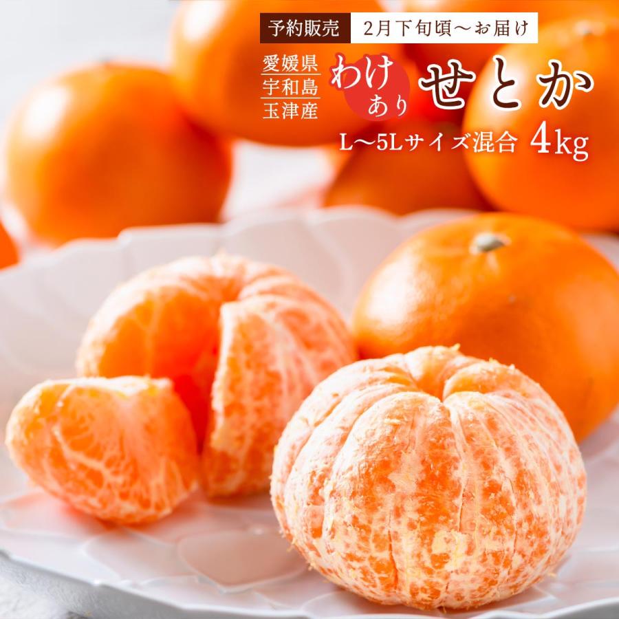 せとか・訳あり品・4kg L~5Lサイズ混合 送料無料 果物 玉津柑橘 せとか・訳あり品・4kg L~5Lサイズ混合 送料無料 果物 玉津柑橘