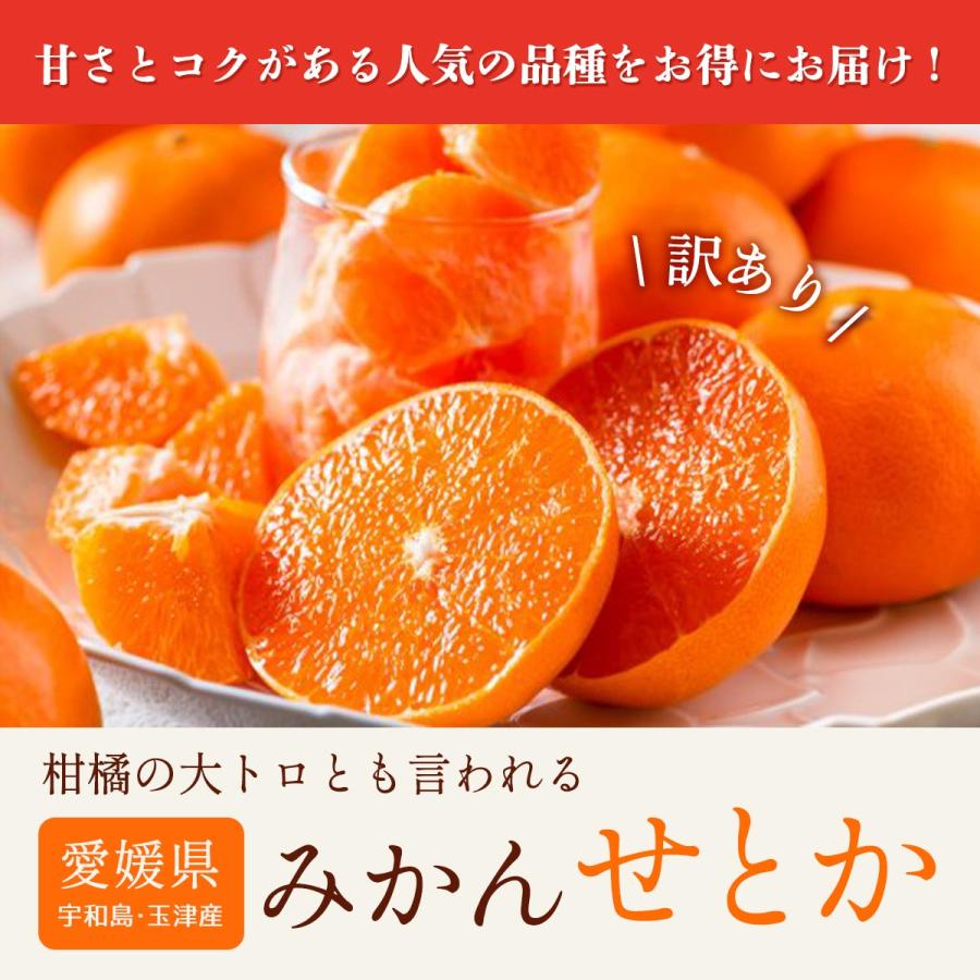 せとか・訳あり品・4kg L~5Lサイズ混合 送料無料 果物 玉津柑橘 せとか・訳あり品・4kg L~5Lサイズ混合 送料無料 果物 玉津柑橘