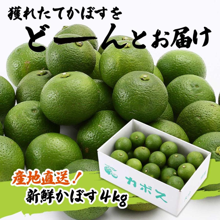 かぼす オレンジ農園 かぼす秀品 4kg箱入り【期間限定販売】 /カボス 大分県産 生かぼす 柑橘 国産 送料無料 ...
