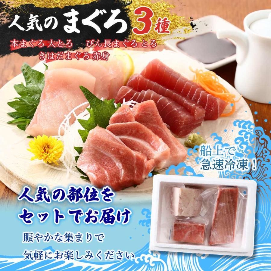 マグロ 新洋水産 まぐろ3種セット キハダマグロ赤身(生食用 マグロ 新洋水産 まぐろ3種セット キハダマグロ赤身(生食用