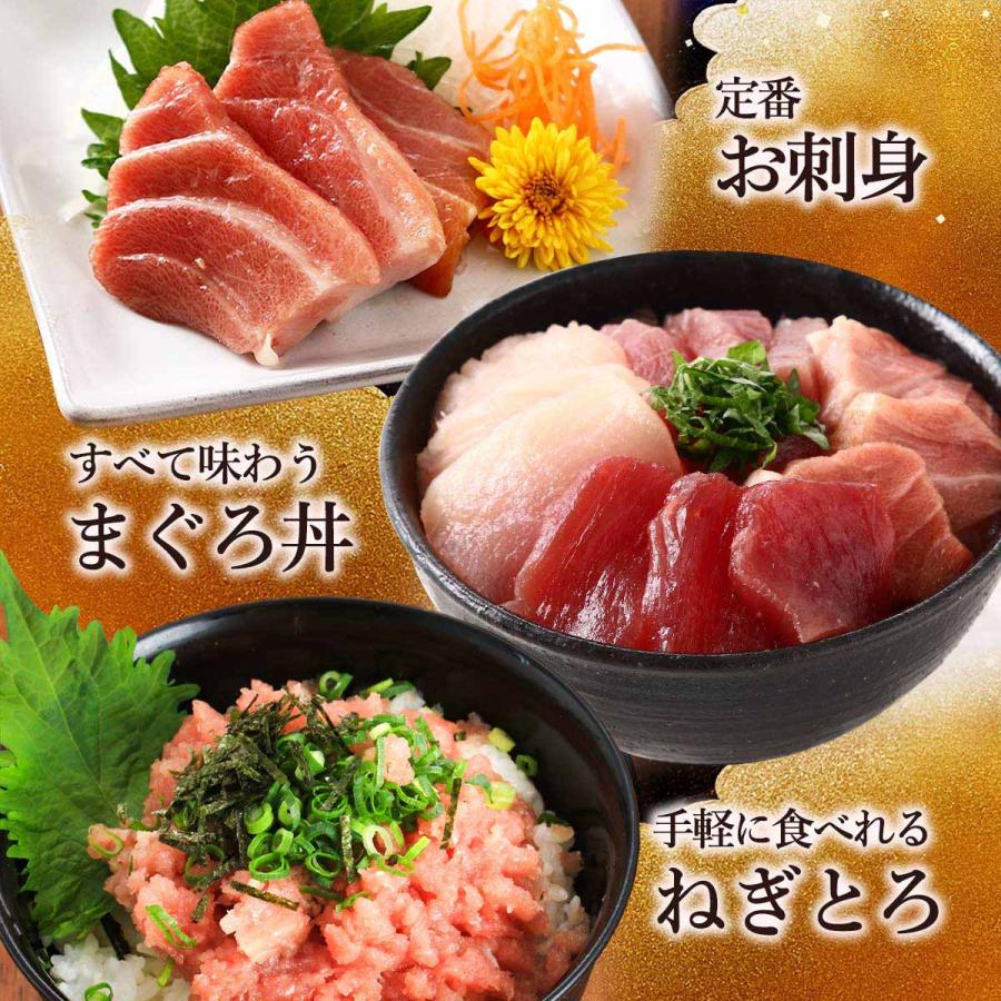 マグロ 新洋水産 まぐろ3種セット キハダマグロ赤身(生食用 マグロ 新洋水産 まぐろ3種セット キハダマグロ赤身(生食用