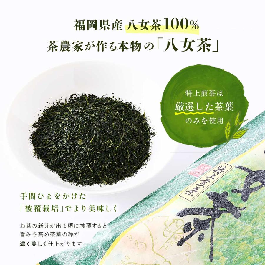 茶葉 石井製茶 茶農家の八女茶 特上煎茶 100g /八女茶 お茶 緑茶 高級