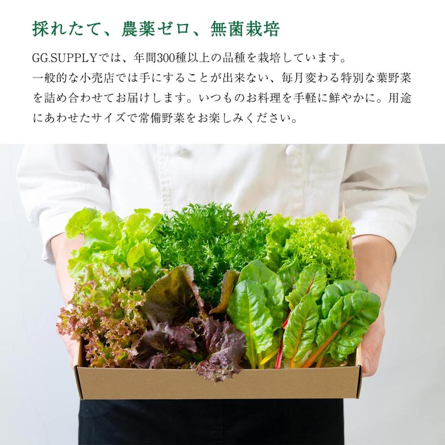 野菜 GG.SUPPLY Gift 常備野菜 7品種の贈り物 葉野菜7種 /便利 野菜 野菜セット 無農薬野菜 有機野菜 国産｜nipponmarche｜04