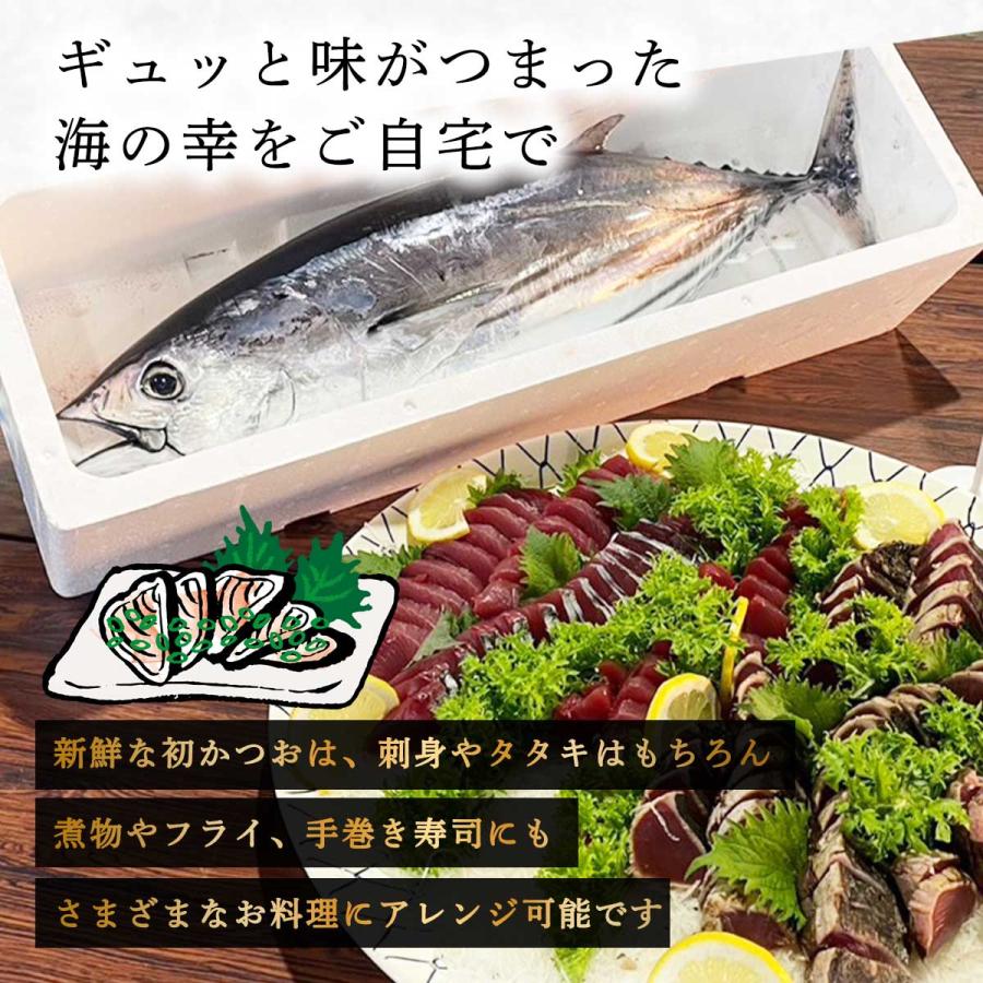 期間限定販売】かつお 南郷漁業協同組合 初かつお 5kg /かつお 期間限定販売】かつお 南郷漁業協同組合 初かつお 5kg /かつお