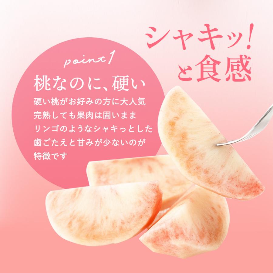 桃 3kg 種まきうさぎ 固い桃 おどろき 福島県伊達市産 3kg(7〜10玉