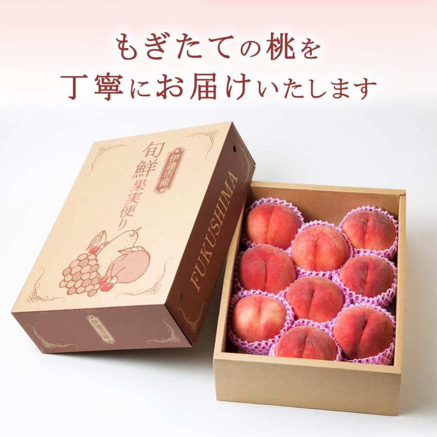 桃 3kg 種まきうさぎ 固い桃 おどろき 福島県伊達市産 3kg(7〜10玉