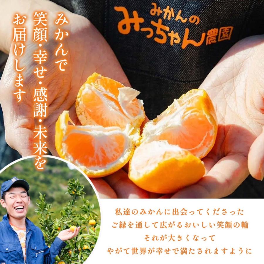 早生みかん 送料無料 みかんのみっちゃん農園 3kg 【予約：11月上旬