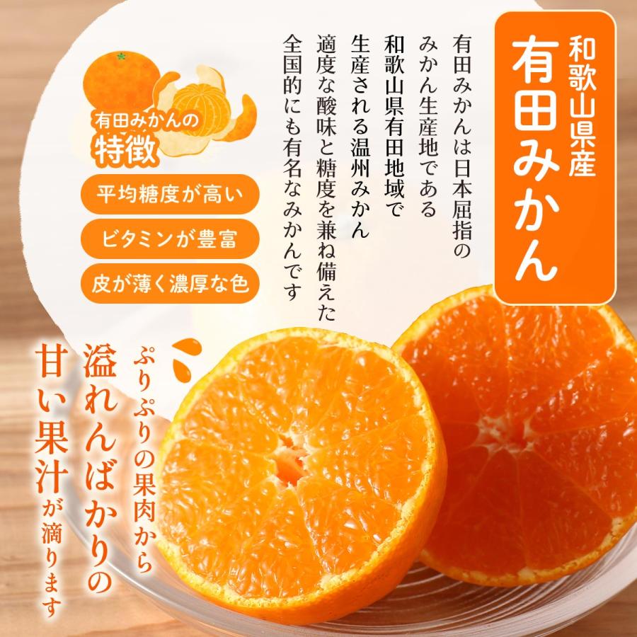 早生みかん 送料無料 みかんのみっちゃん農園 3kg 【予約：11月上旬