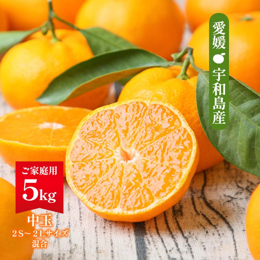 愛媛みかん フレッシュつちやま 吉田みかん 家庭用 5kg 【発送時期:9月