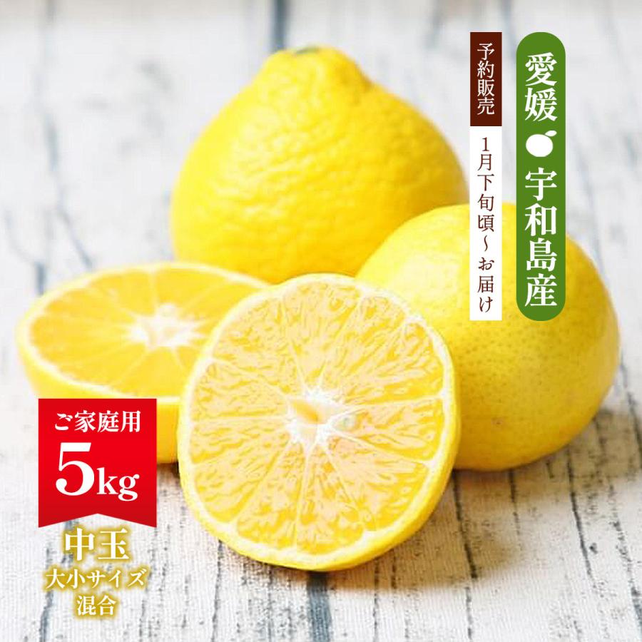 媛小春 5kg 送料無料 フレッシュつちやま 【1月下旬頃〜順次配送