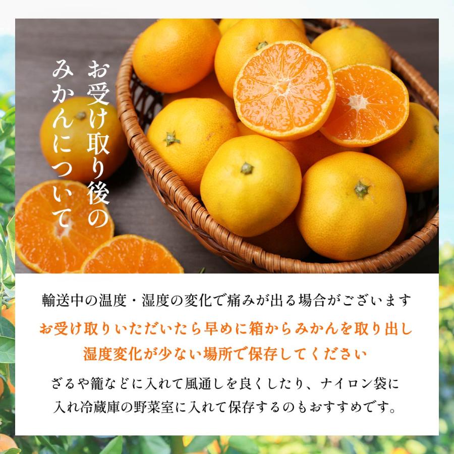 媛小春 5kg 送料無料 フレッシュつちやま 【1月下旬頃〜順次配送
