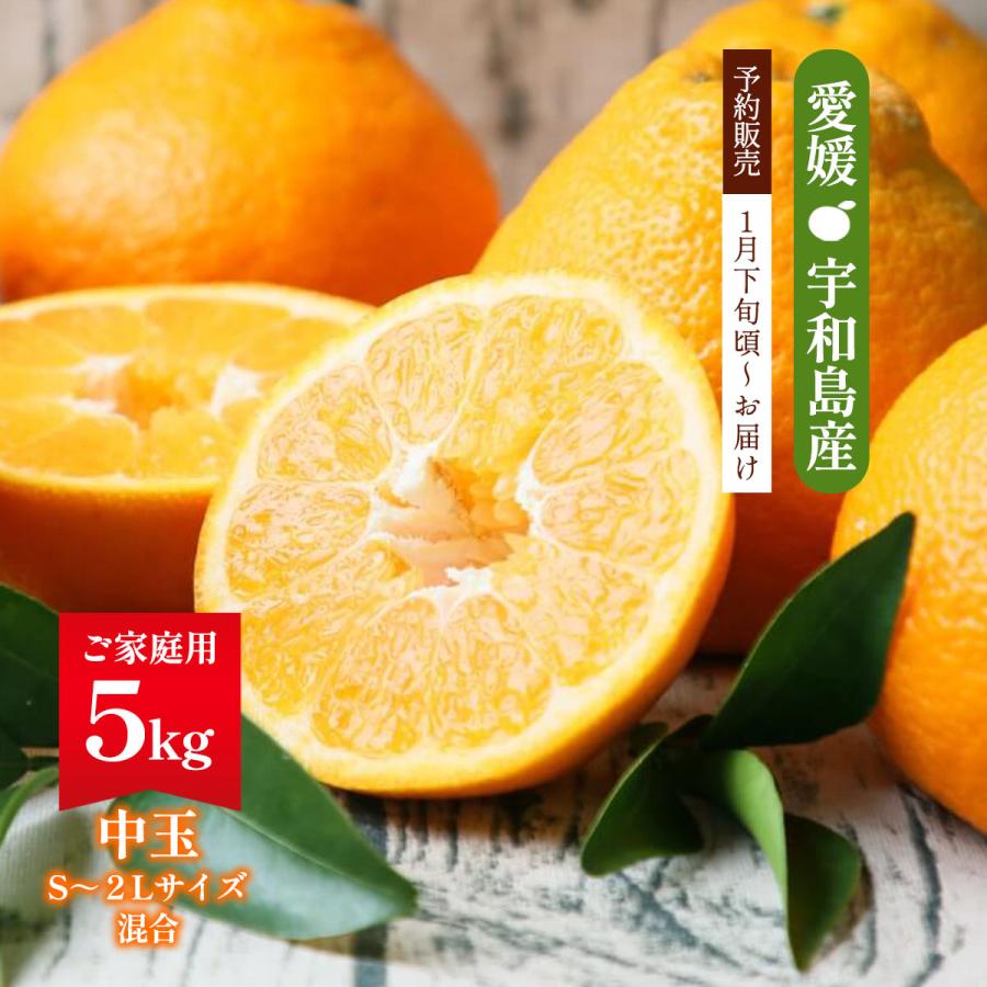いよかん 5kg 送料無料 フレッシュつちやま 伊予柑 【1月下旬頃〜順次