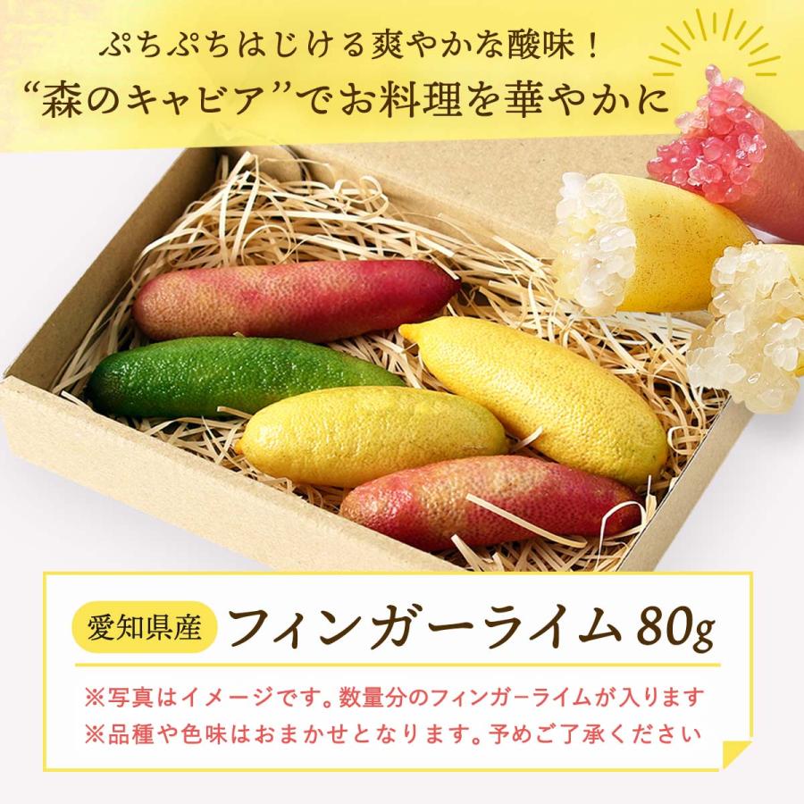 送料無料 シーヴイテック フィンガーライム 80g(4〜7本) 【発送:7月
