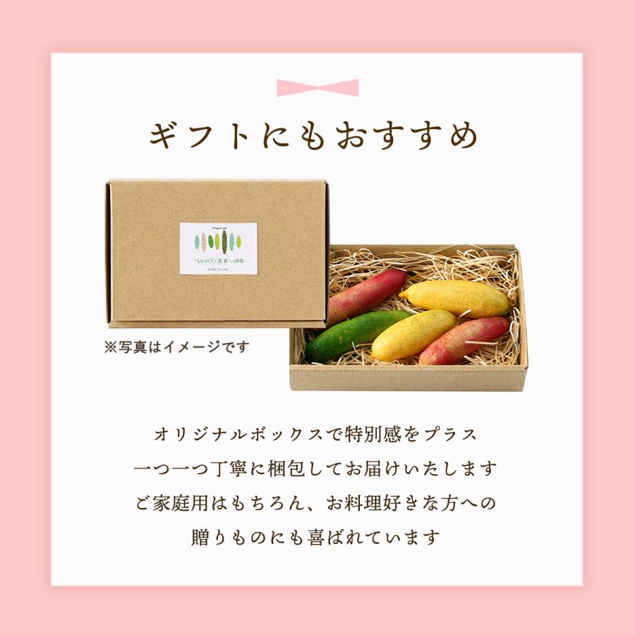 フィンガーライム　3点セット 送料無料 シーヴイテック フィンガーライム 80g(4〜7本) 【発送:7月