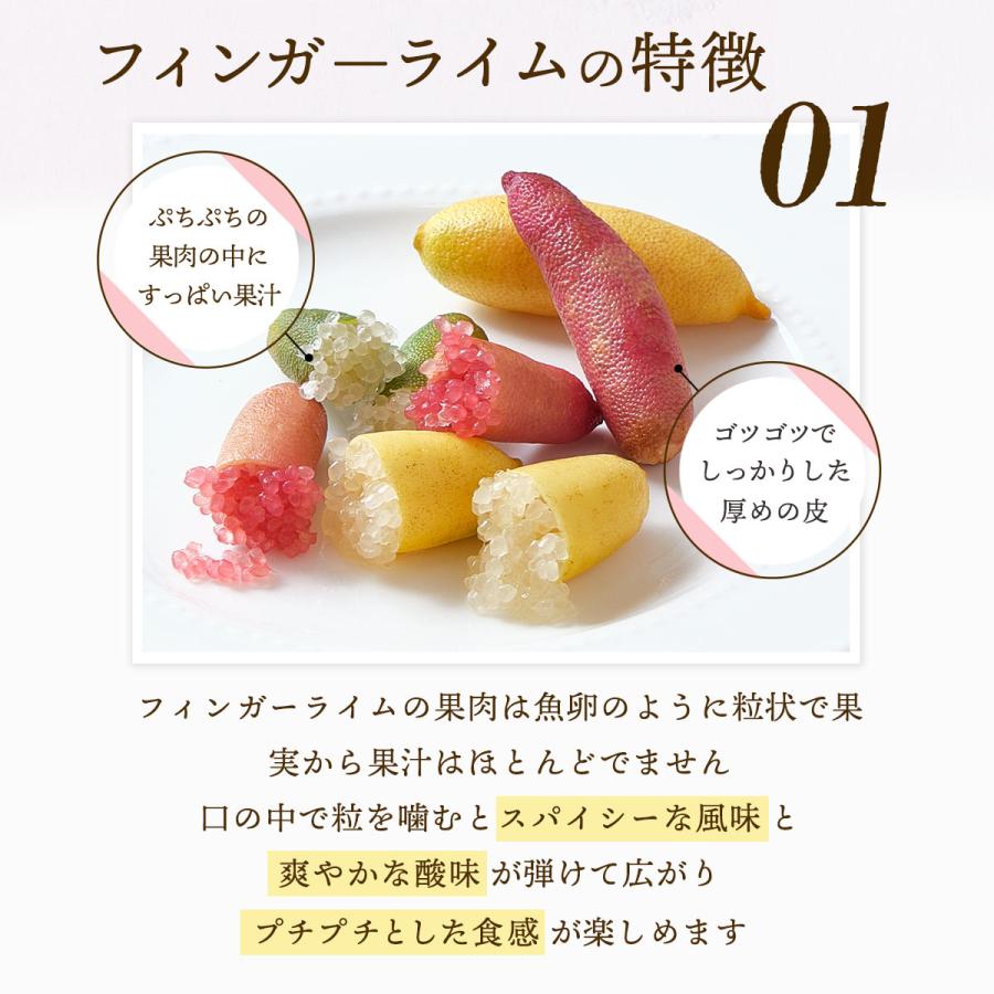 送料無料 シーヴイテック フィンガーライム 250g(12〜20本) 【発送:7月