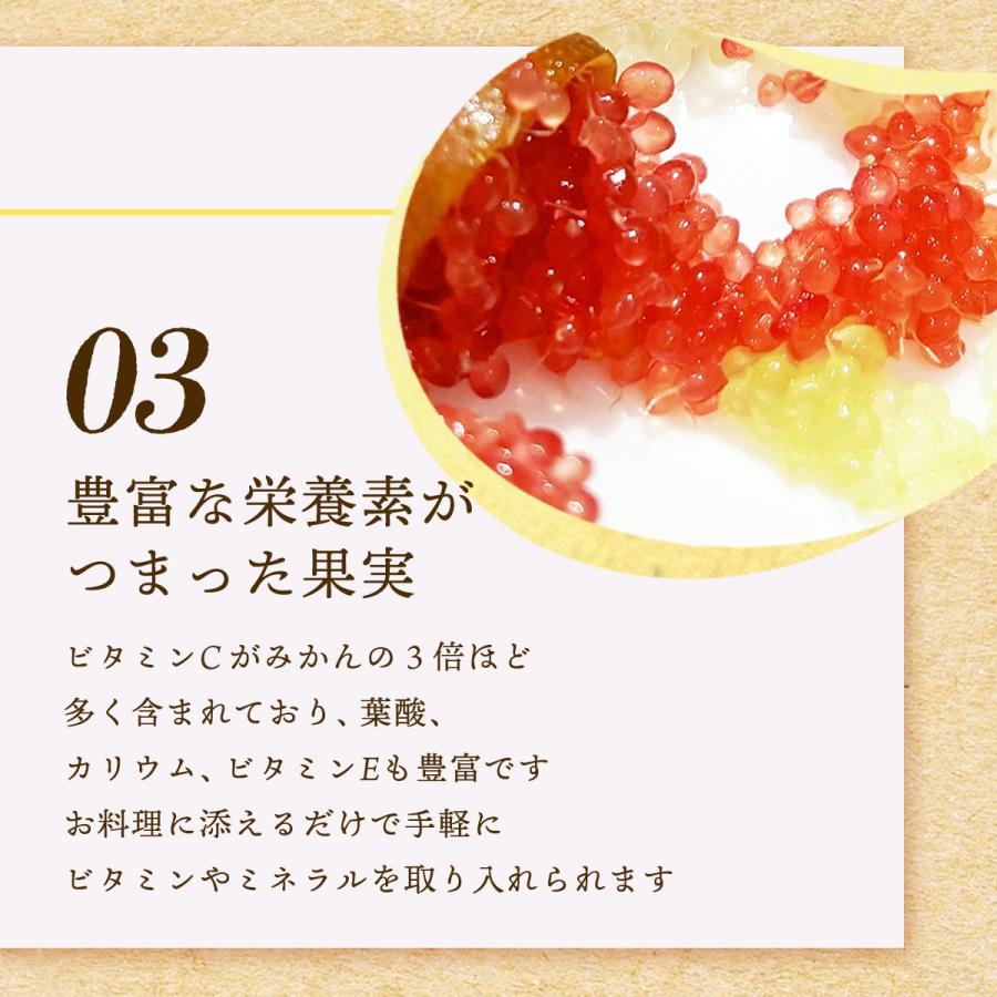 送料無料 シーヴイテック フィンガーライム 250g(12〜20本) 【発送:7月