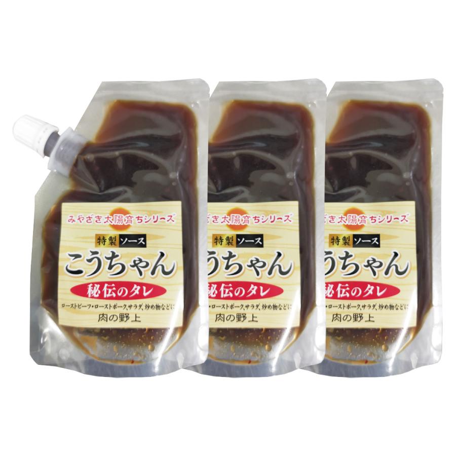 たれ 3本セット [野上食品] こうちゃんのタレ 80g×3本セット /たれ