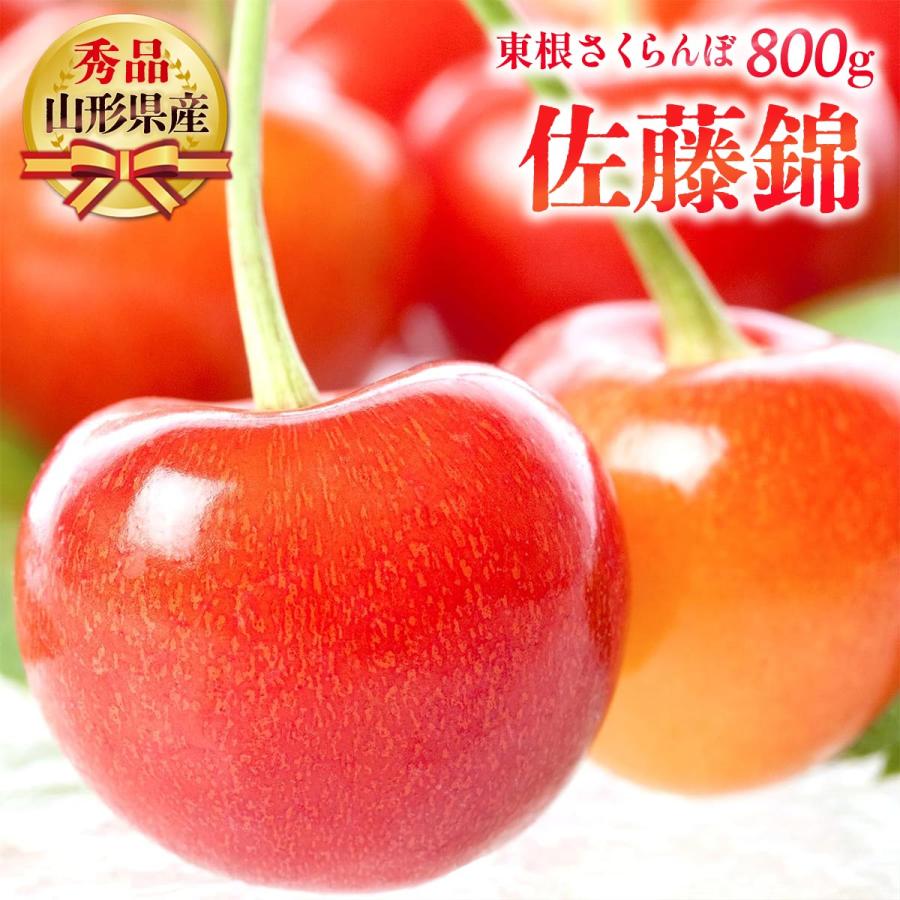 さくらんぼ 800g 贈答用 送料無料 [東根農産センター] 山形県産 佐藤錦