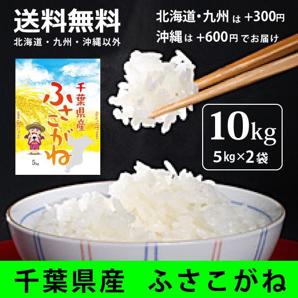 千葉県産 ふさこがね 10kg（5kg×2袋） 白米 令和7年産米 業務用最適