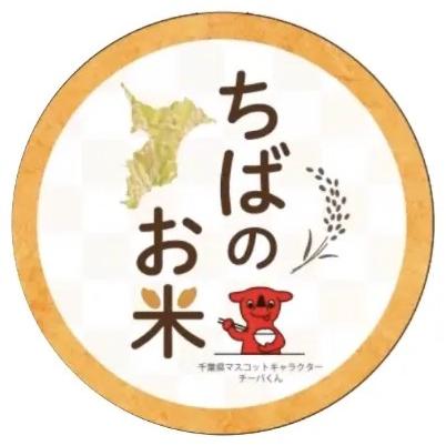 米 安い セール 千葉県産 ふさこがね 20kg（5kg×4袋） 白米 令和7年産