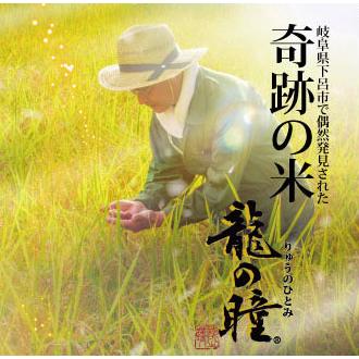 龍の瞳 900g（300g×3袋）岐阜県飛騨産 いのちの壱 令和5年産 お米 ギフト プレゼント お中元 御歳暮  内祝 御礼  のし名入れ無料 送料無料（一部地域加算送料）｜nipponrise｜05