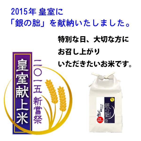 銀の朏20kg （5kg×4袋）白米お得セット 岐阜県飛騨地区 特別栽培米 ぎんのみかづき いのちの壱 令和7年産 送料無料（一部地区除く）_2