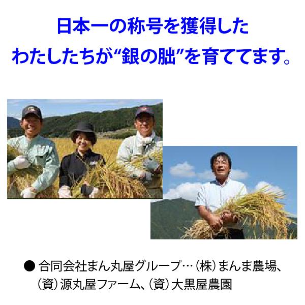 銀の朏20kg （5kg×4袋）白米お得セット 岐阜県飛騨地区 特別栽培米 ぎんのみかづき いのちの壱 令和7年産 送料無料（一部地区除く）_4