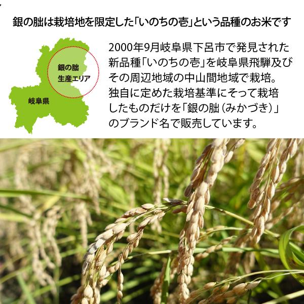 銀の朏20kg （5kg×4袋）白米お得セット 岐阜県飛騨地区 特別栽培米 ぎんのみかづき いのちの壱 令和7年産 送料無料（一部地区除く）_5