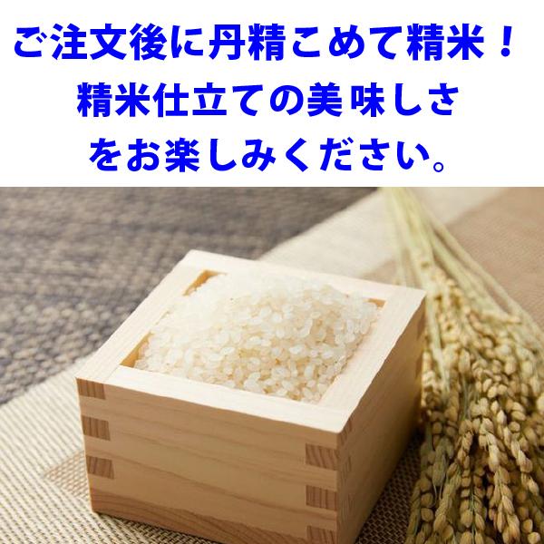 銀の朏20kg （5kg×4袋）白米お得セット 岐阜県飛騨地区 特別栽培米 ぎんのみかづき いのちの壱 令和7年産 送料無料（一部地区除く）_8
