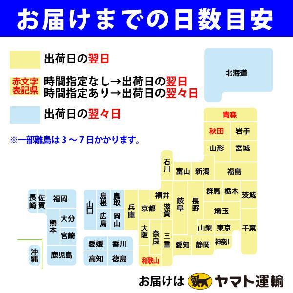 もち米 業務用 大容量 ヒメノモチ 20kg(10kg×2) 餅米 モチ米 白米 令和