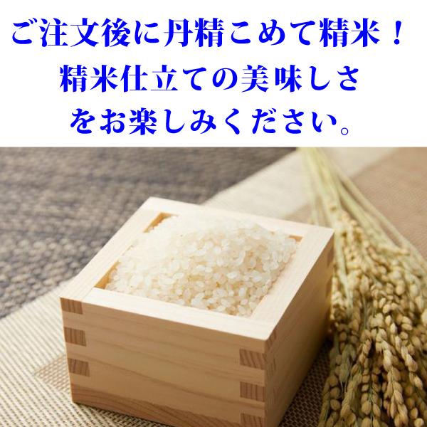 mee千葉県産ミルキークイーン10キロ 米 お米 ミルキークイーン 千葉県産 10kg（5kg×2） 令和7年産 白米